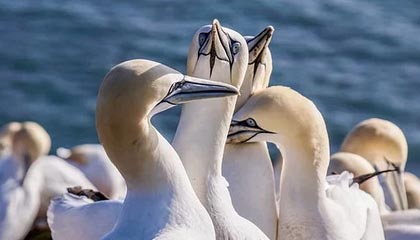 华体会电竞：点亮热血舞台，开启你的电竞新纪元